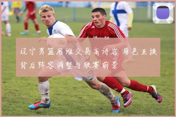 辽宁男篮用谁交易高诗岩 角色互换背后阵容调整与联赛前景