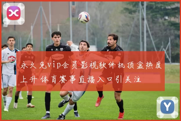 永久免vip会员影视软件机顶盒热度上升 体育赛事直播入口引关注