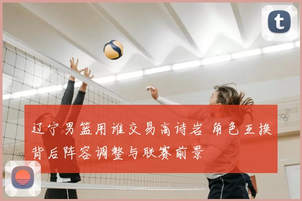 辽宁男篮用谁交易高诗岩 角色互换背后阵容调整与联赛前景