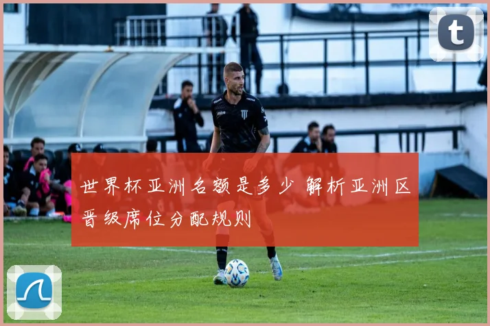世界杯亚洲名额是多少 解析亚洲区晋级席位分配规则